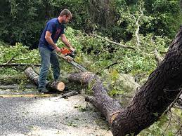 Best Storm Damage Tree Cleanup  in Decatur, TN