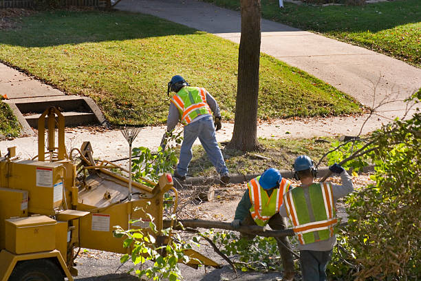 Best Lawn Drainage Solutions  in Decatur, TN